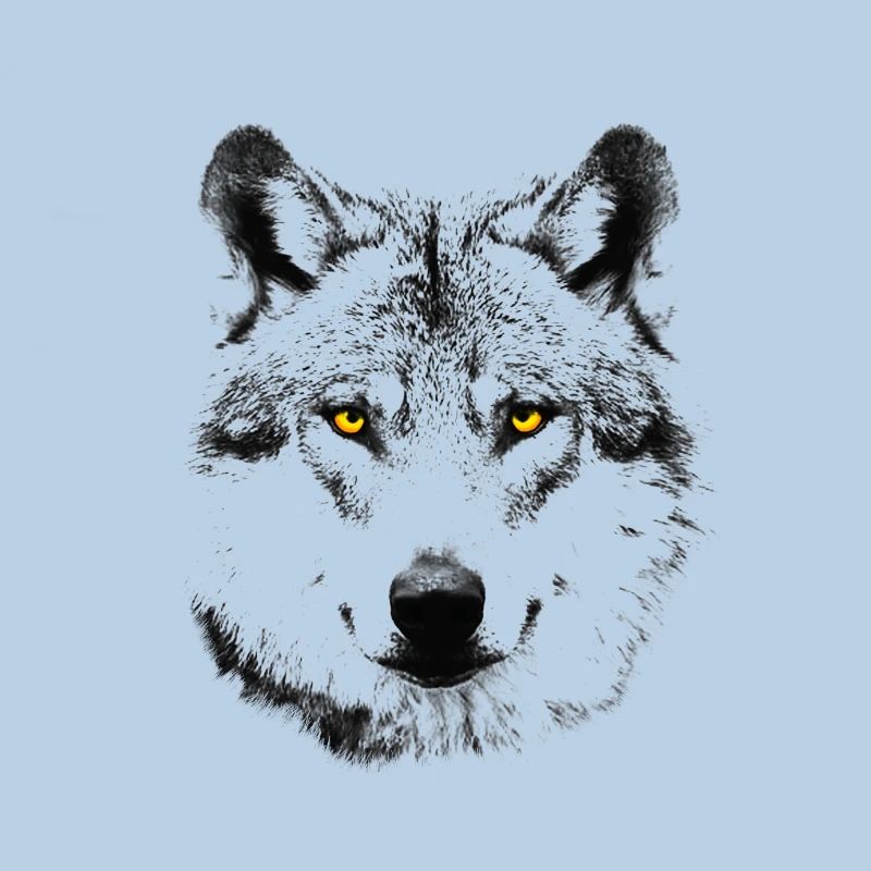 Der Wolf