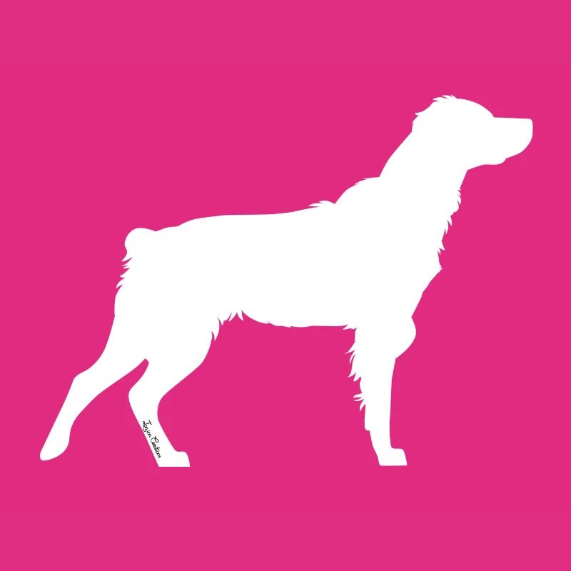 Rainbow Brittany Spaniel White