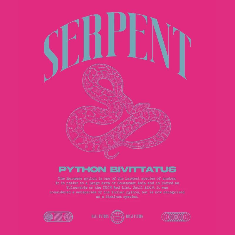 Burmese Python Modern Reptile Keeper Streetwear