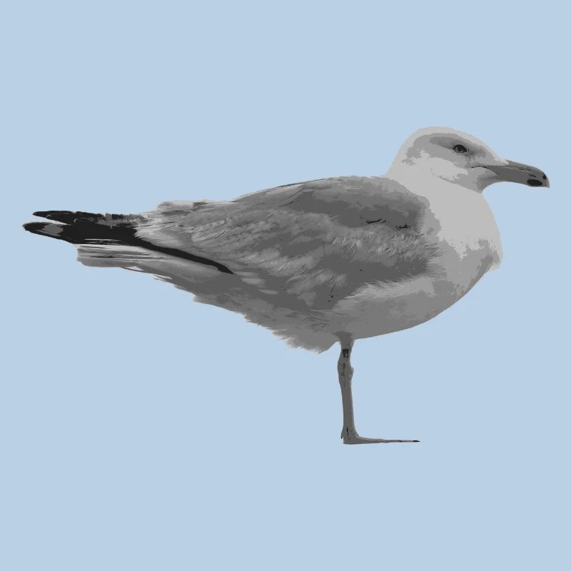 Möwe Design Geschenk Idee