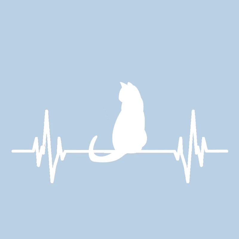 Chat idée cadeau chat chats