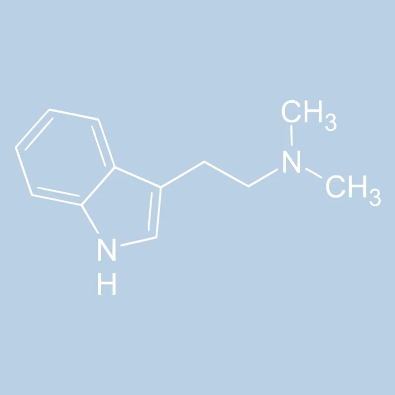 DMT Spirit Molecule Hallucinogène Conscience Psych