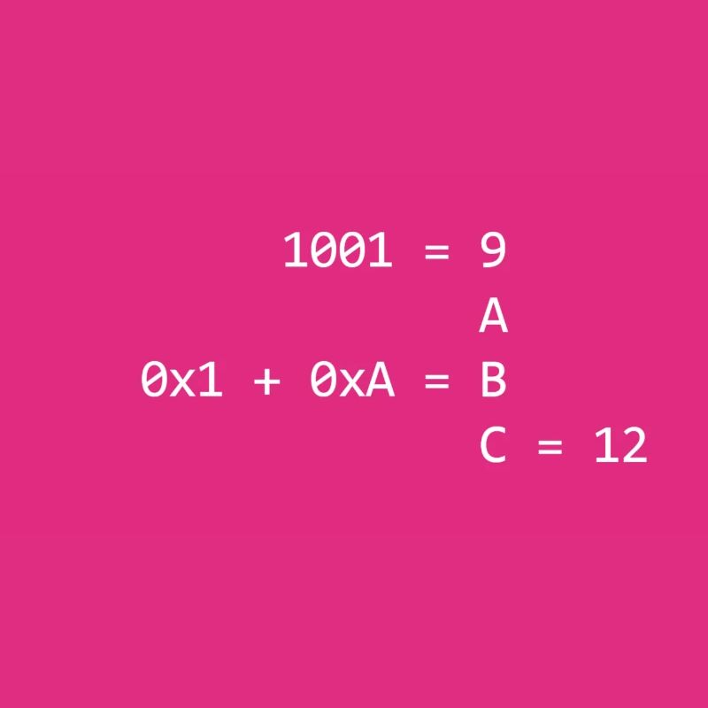 Les systèmes de numération expliqués