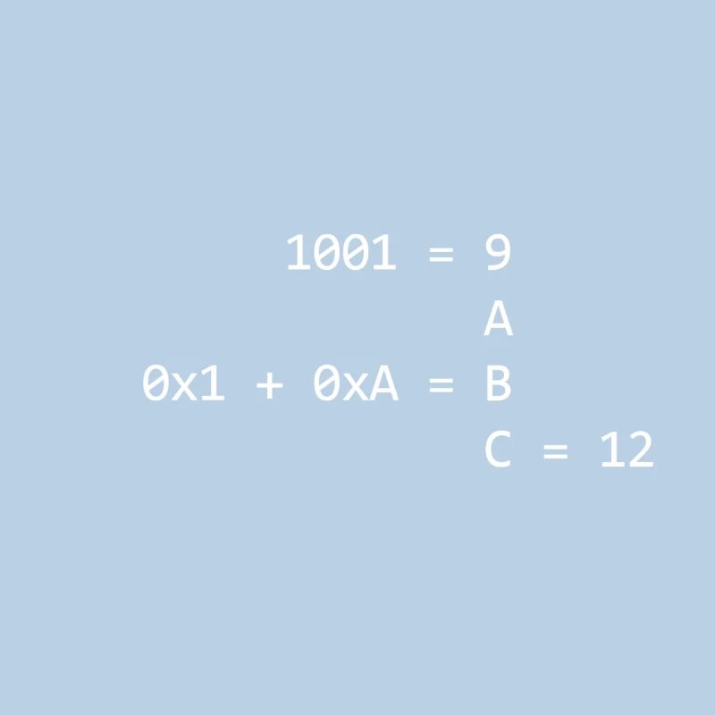 Les systèmes de numération expliqués