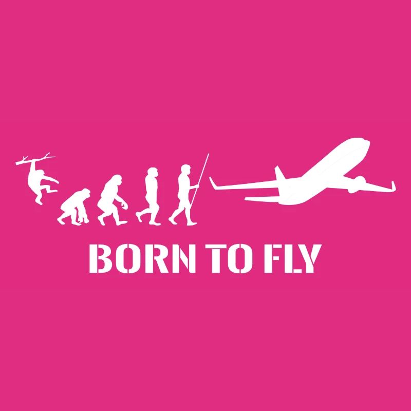 Airplane Evolution Pilot Flying Flying