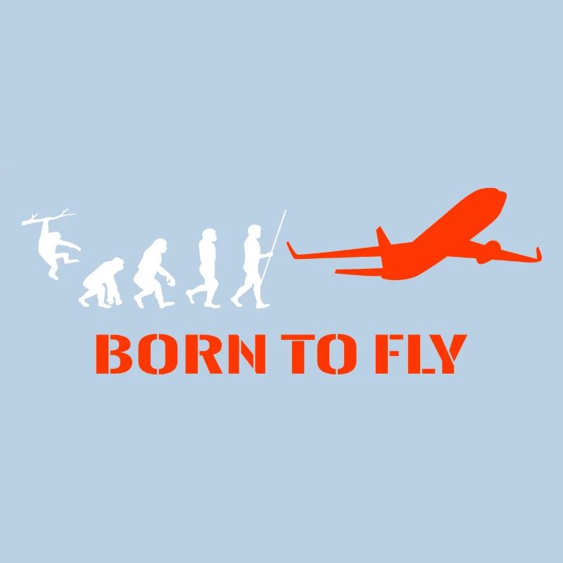 Flugzeug Pilot Evolution