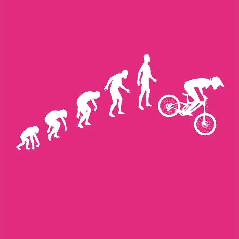Evolution de la descente