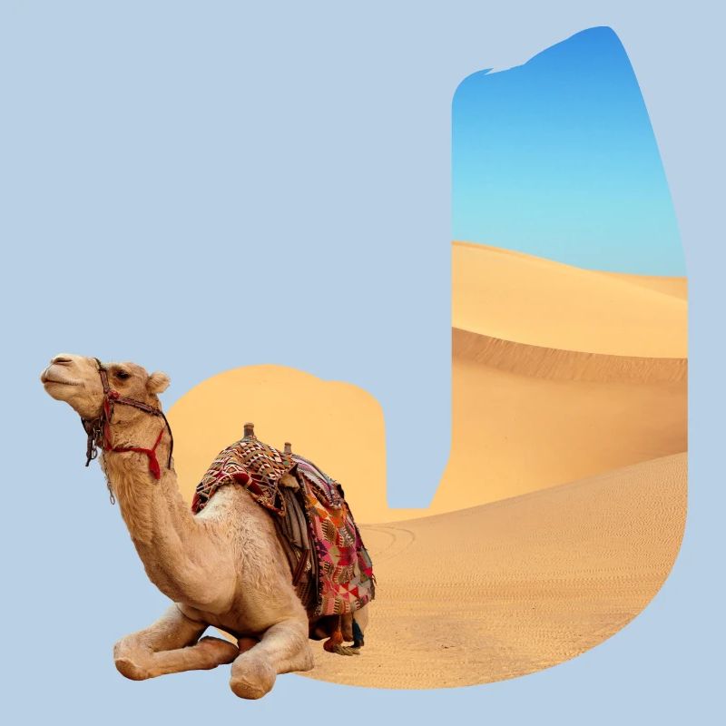 désert avec kamel j