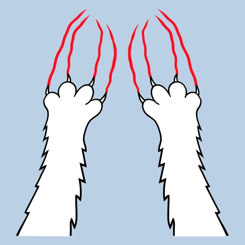 Cats, Claws, Paws, Paws, Claws, Scratches, Stripes