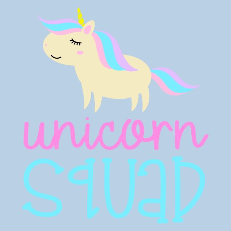 Unicorn Squad Gift Idea