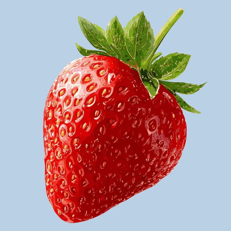 Erdbeere