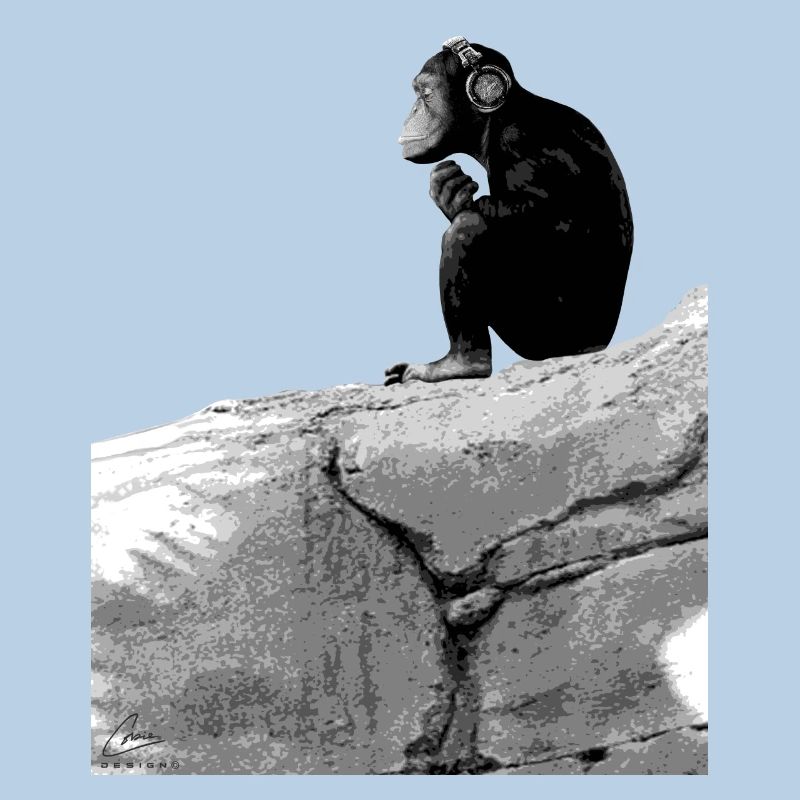 Music Monkey