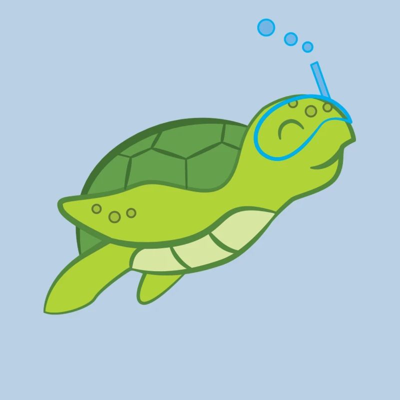 Turtle - Turtle Lover - Turtles