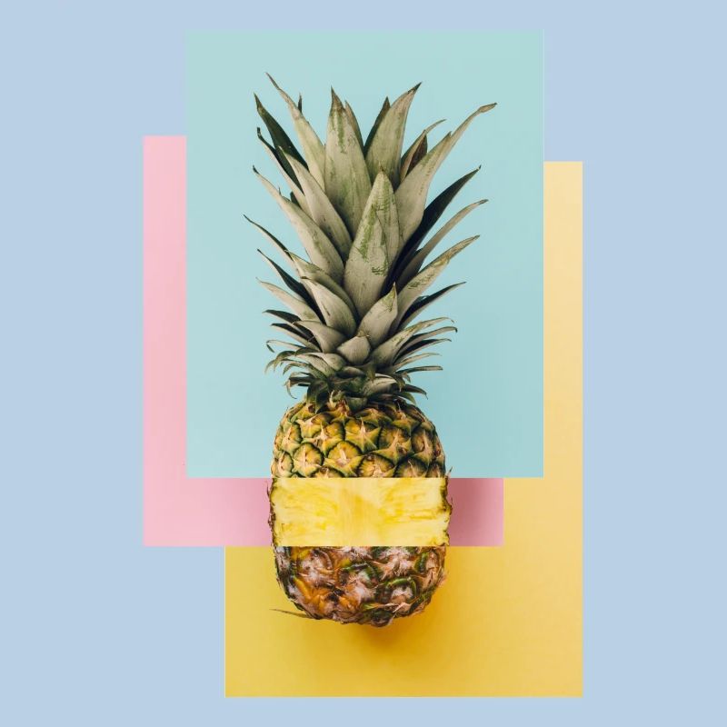 Bunte Ananas / Geschenk Idee
