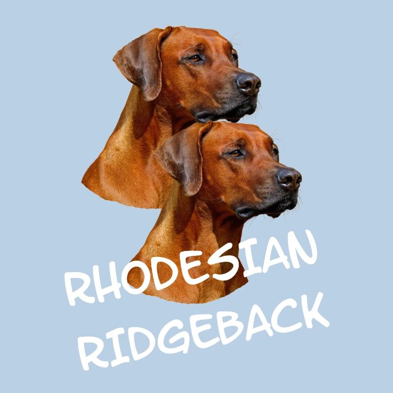 Rhodesian Ridgeback