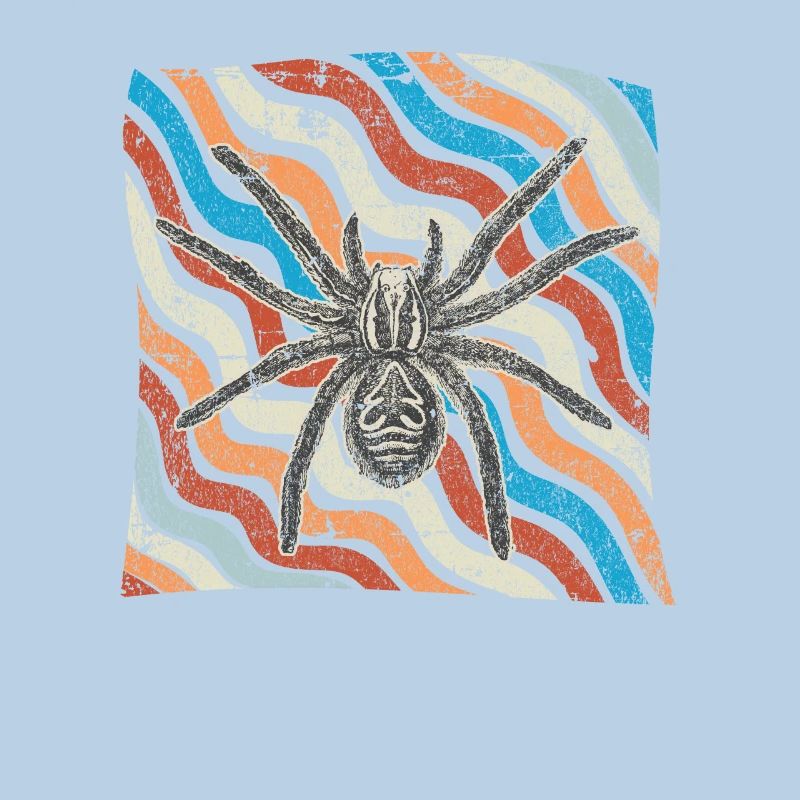 Spinne