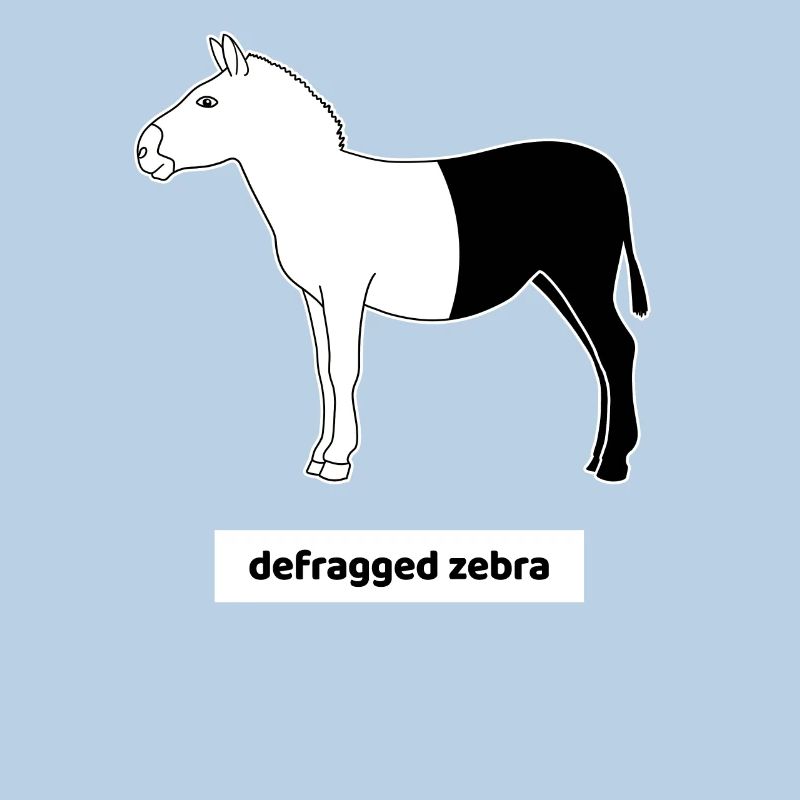 Informatiker Computer Rechner Humor Zebra Defrag