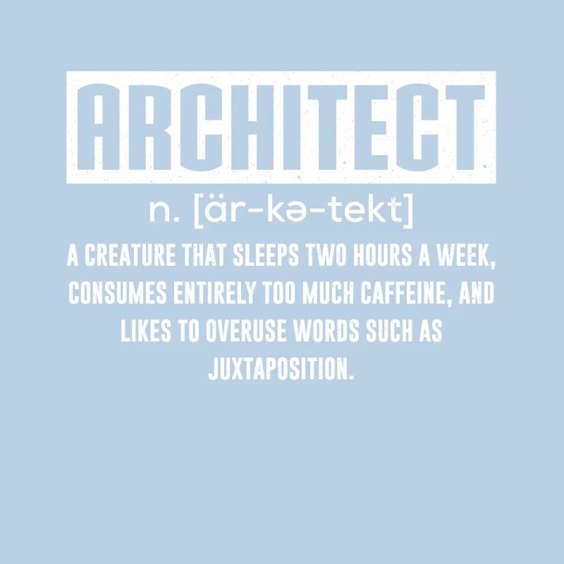 Architect Architect