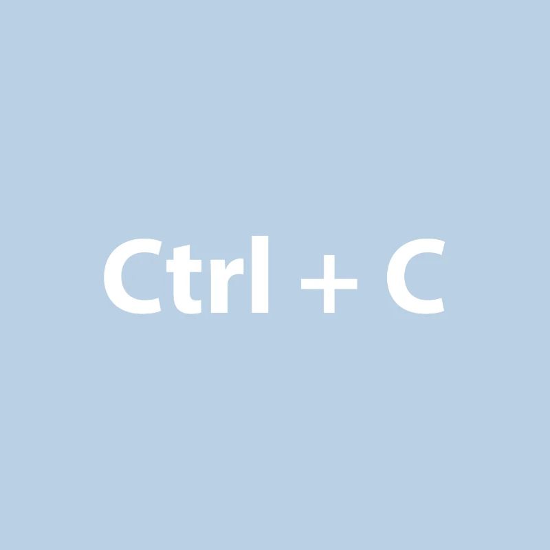 Ctrl Ctrl V Copy Paste Twins