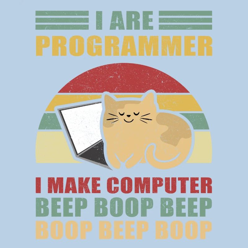 Programmeurs Don Admin Informatique Informaticien