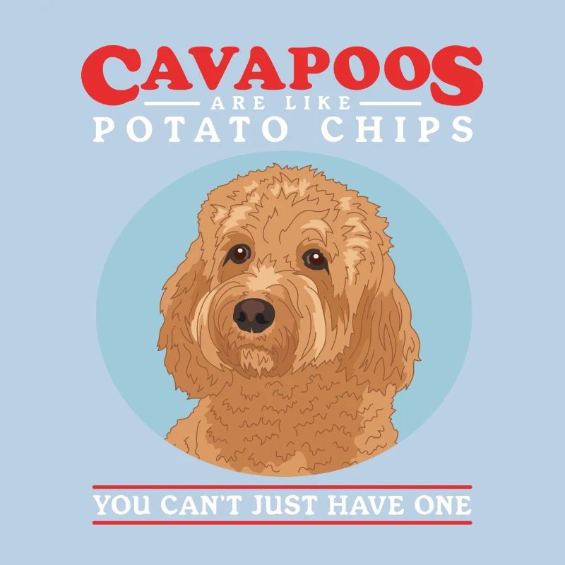 Cavapoo Hund Cavoodle Hundebesitzer Geschenk