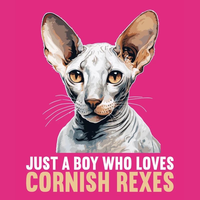 Cornish Rex Kätzchen Cornish Rex Katze