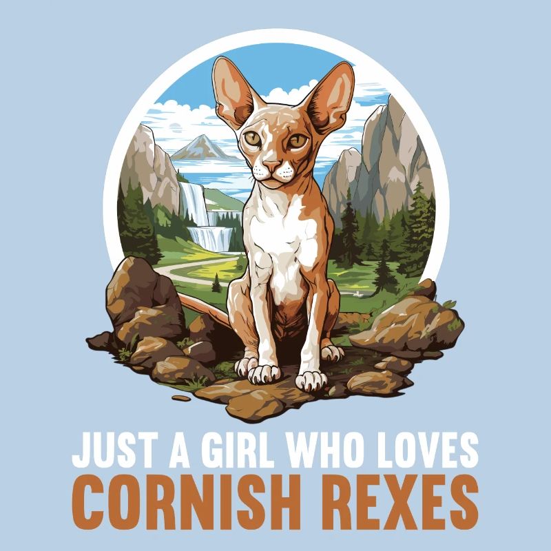 Cornish Rex Kätzchen Cornish Rex Katze