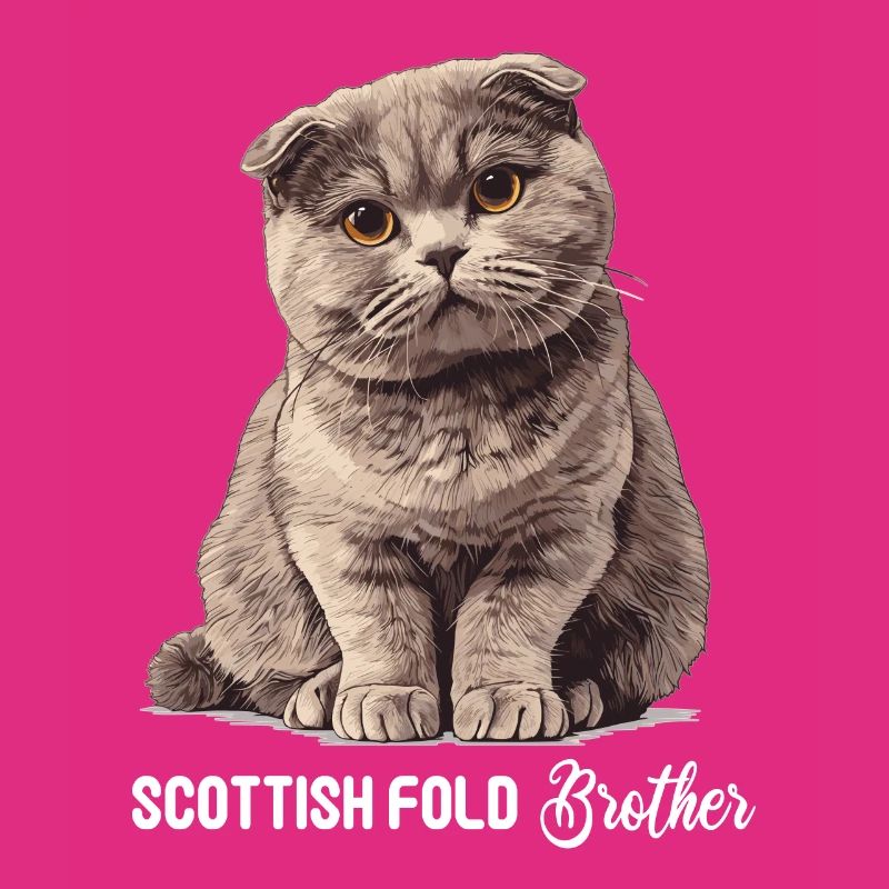 Scottish Fold Kitten Scottish Fold chat