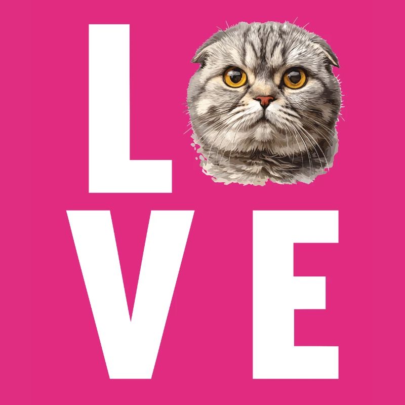 Scottish Fold Kitten Scottish Fold Cat