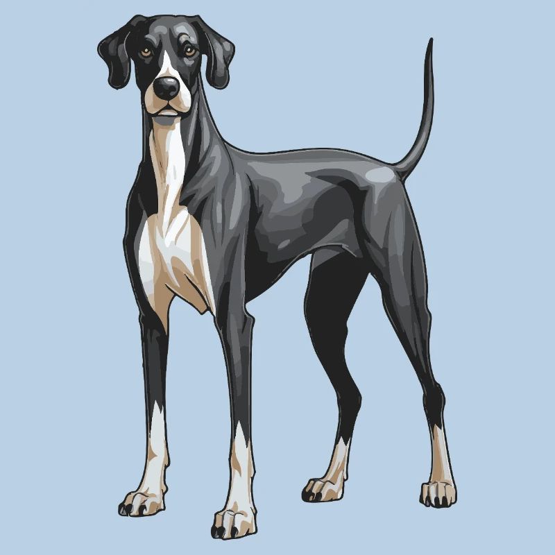 Great Dane Hund