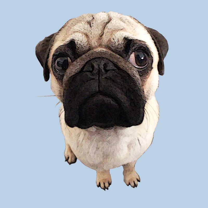 Pug views