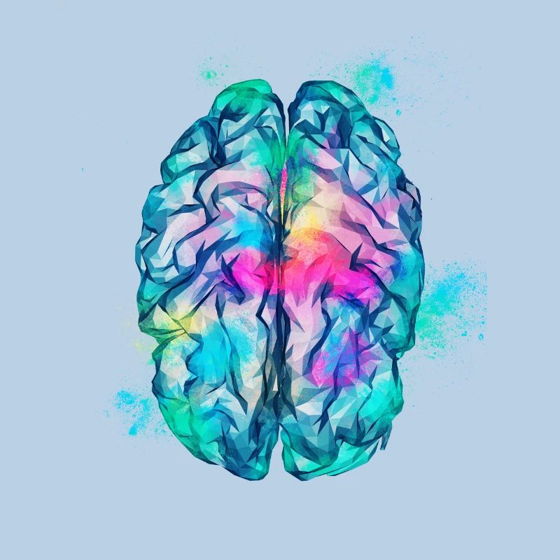 Brain Low Poly Colorful