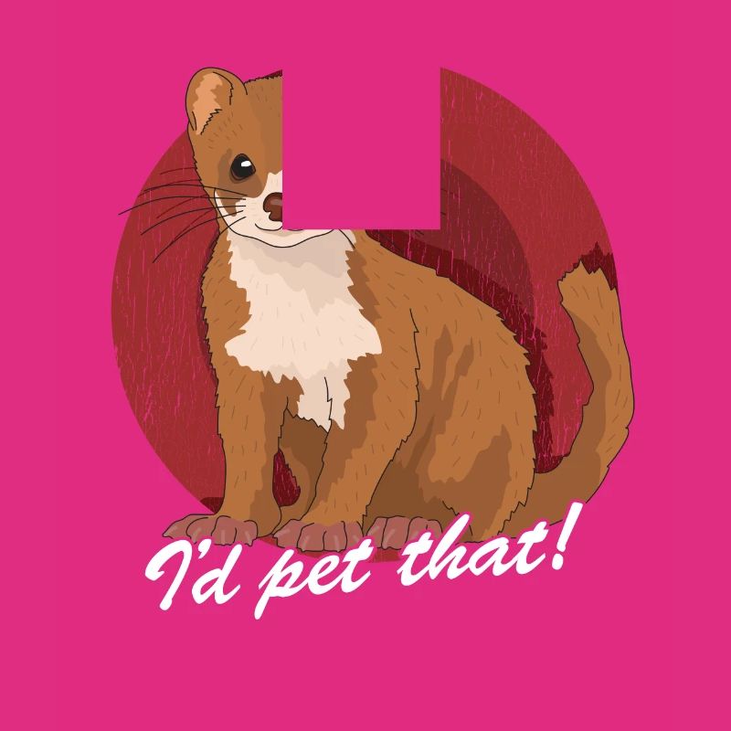 Weasel Mouse Weasel Dwarf Weasel Gift