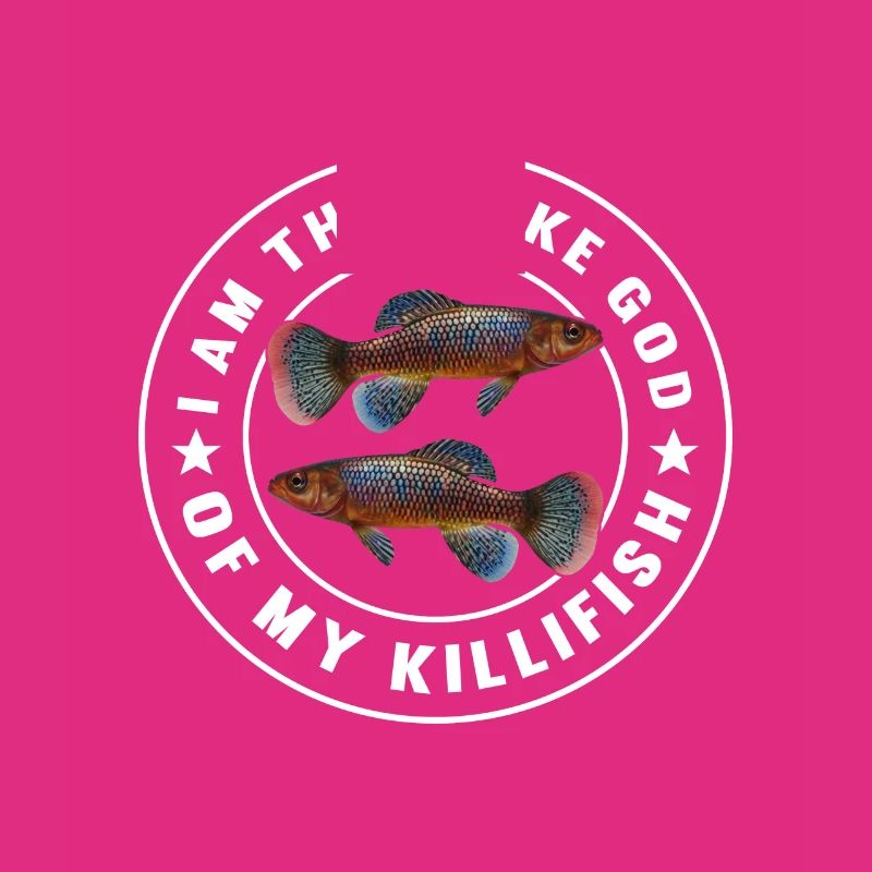 Killifish Quarium Fish