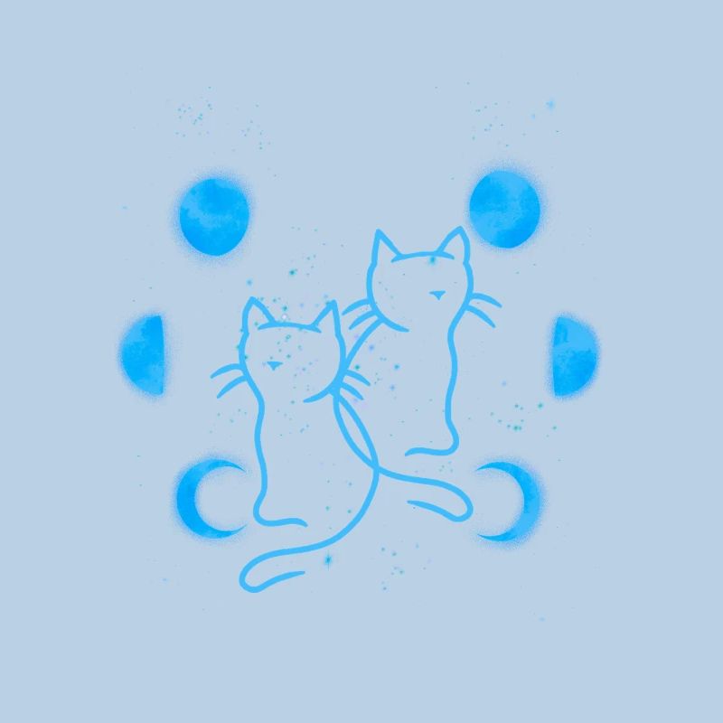 Chat Chats Lune Phases de Lune