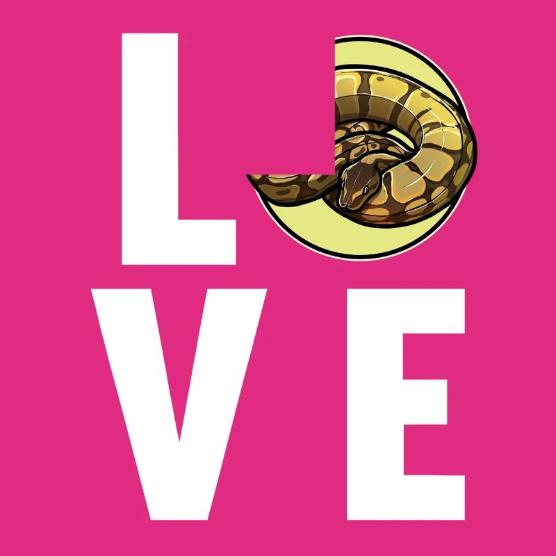 Ball Python Königspythons Königspython