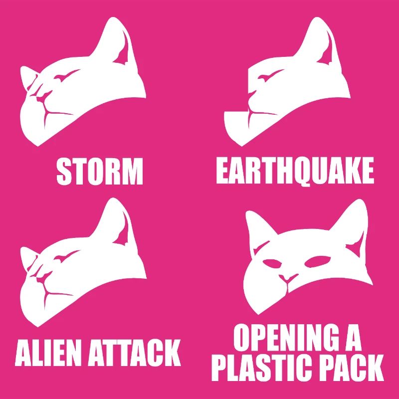 Cat - selective perception - saying