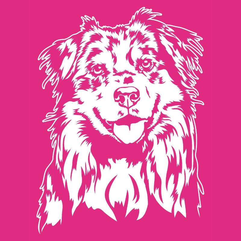 Australian Shepherd Aussie Portrait Hunde Wilsigns