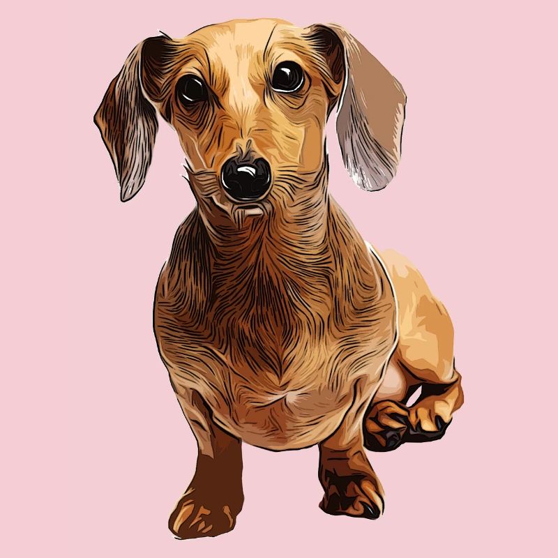 Dackel Teckel Dachshund