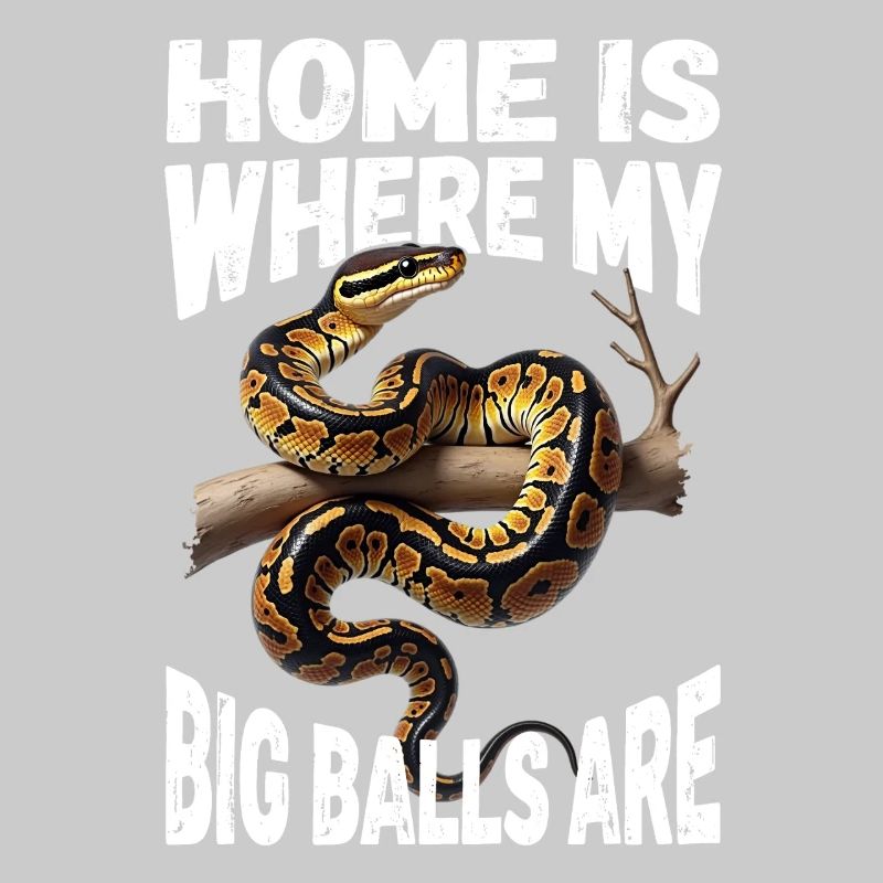 Python roi Serpents Amateurs de terrarium Python