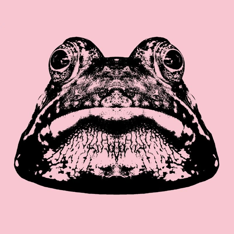Frosch / Frog / Grafik