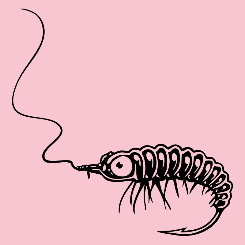 NYMPHE