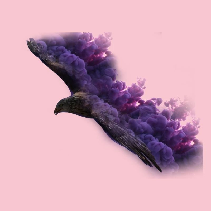 Eagle avec de la fumée
