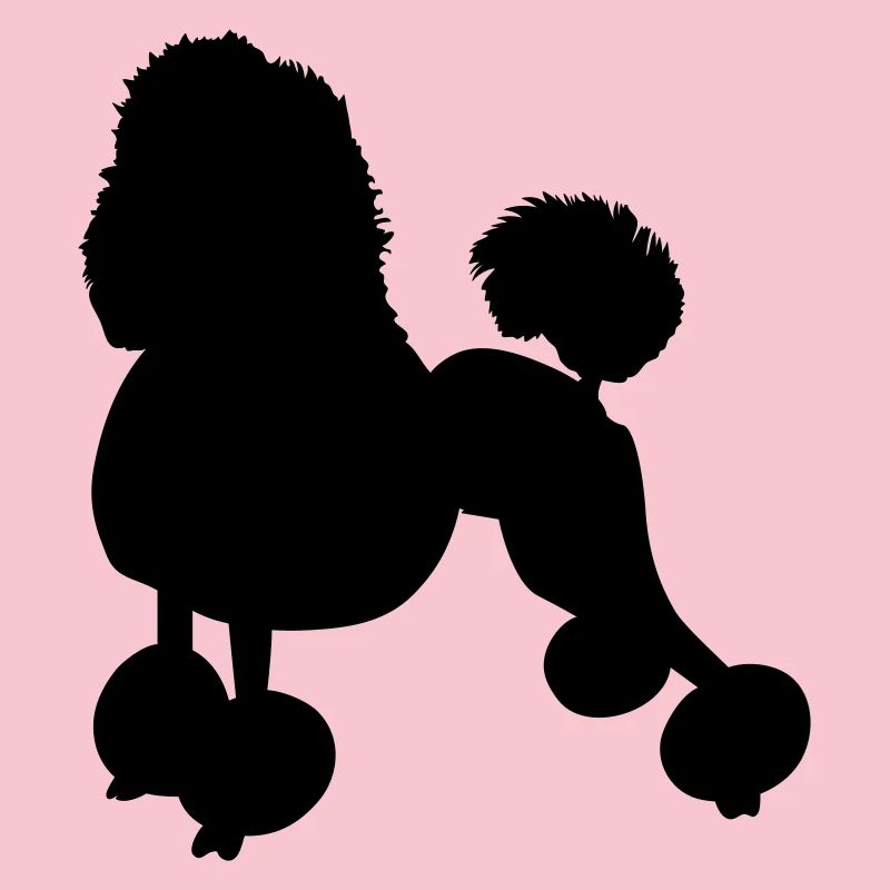 caniche