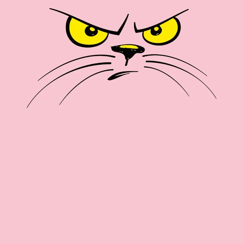 chat chat visage de chat mal