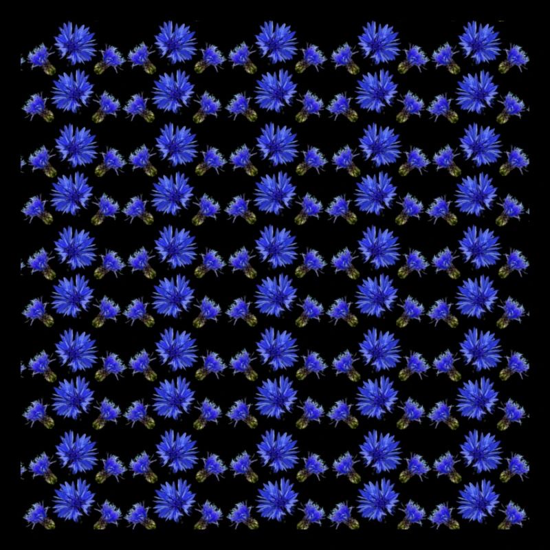 Cornflower Pattern, Gift Woman