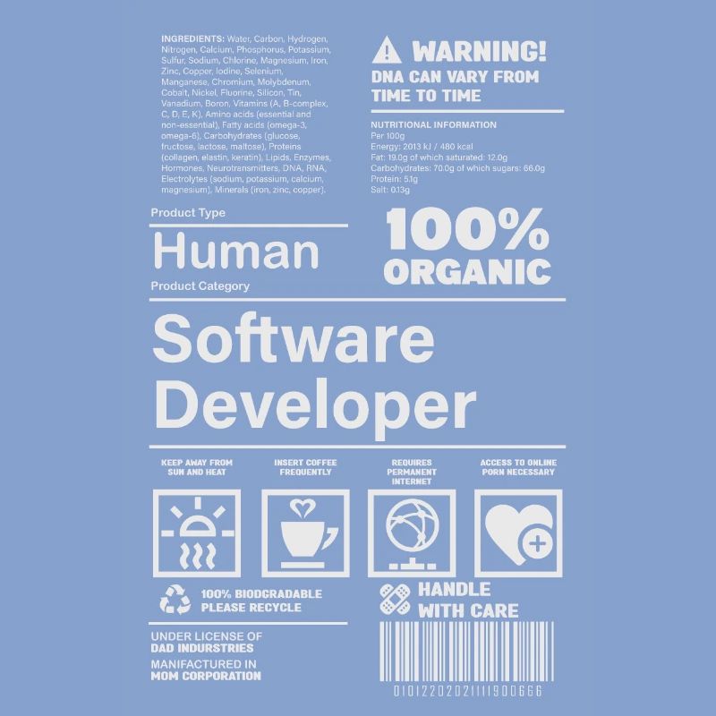 Software Developer