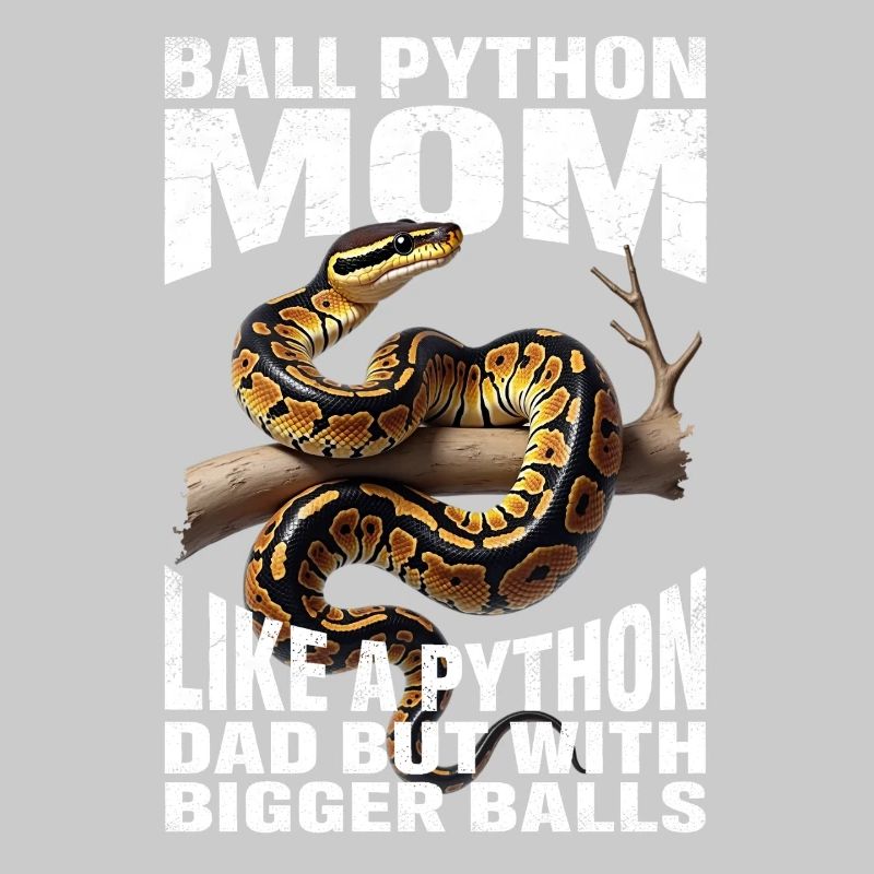Maman Python roi Maman Serpents Terrarium Python