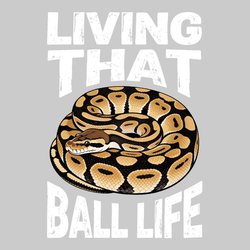 Python roi Serpents Amateurs de terrarium Python