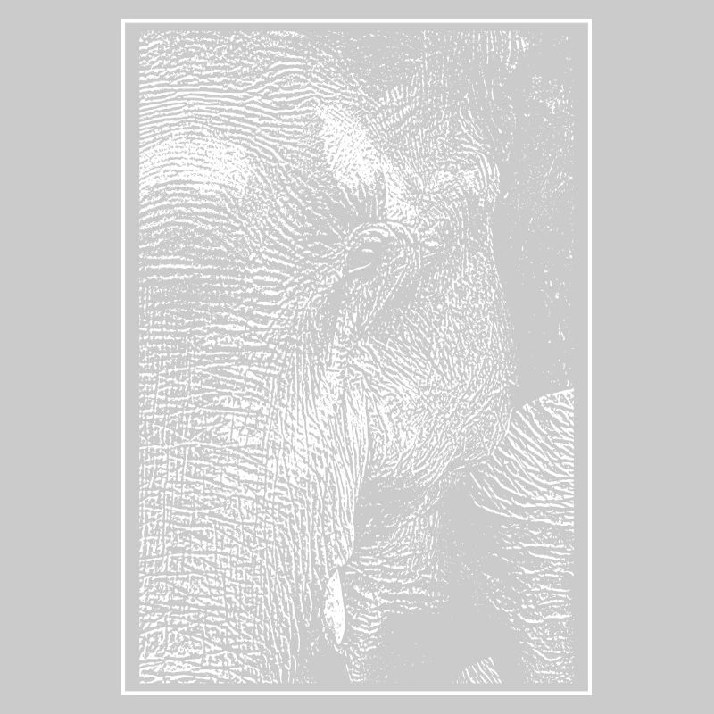White elephant